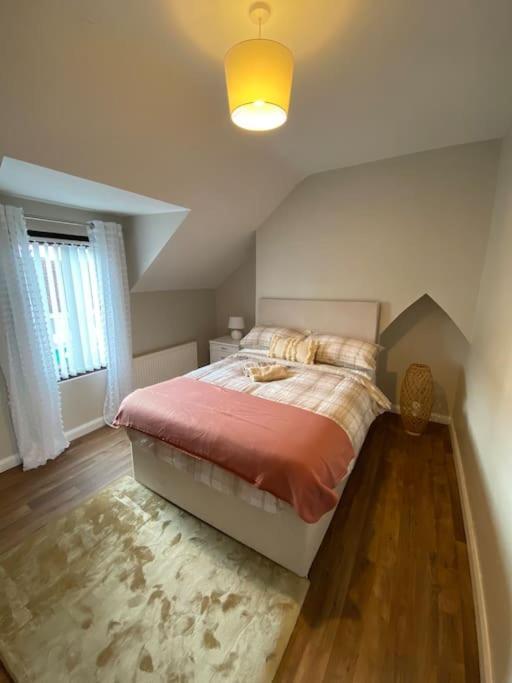 The Cozy Homestay Belfast Exteriér fotografie
