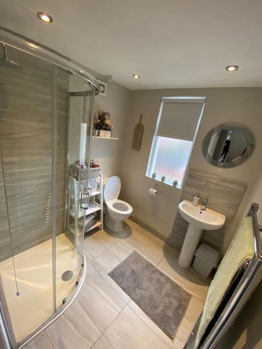 The Cozy Homestay Belfast Exteriér fotografie