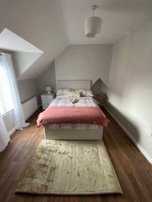 The Cozy Homestay Belfast Exteriér fotografie