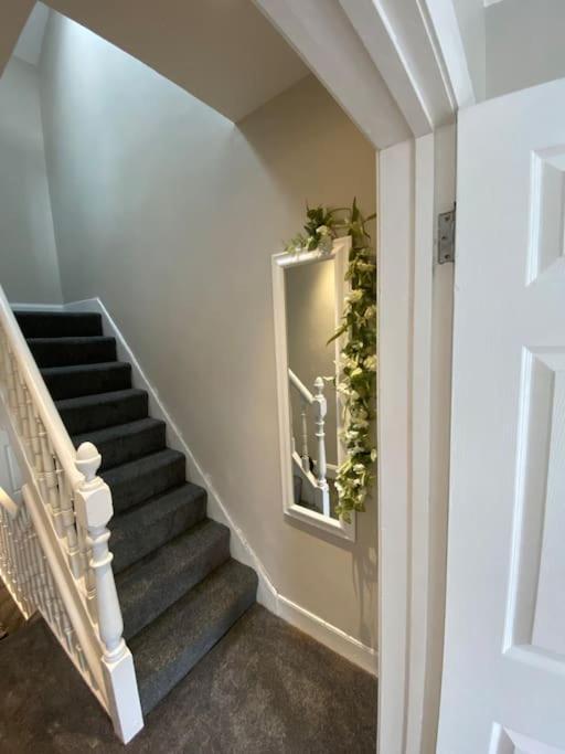 The Cozy Homestay Belfast Exteriér fotografie